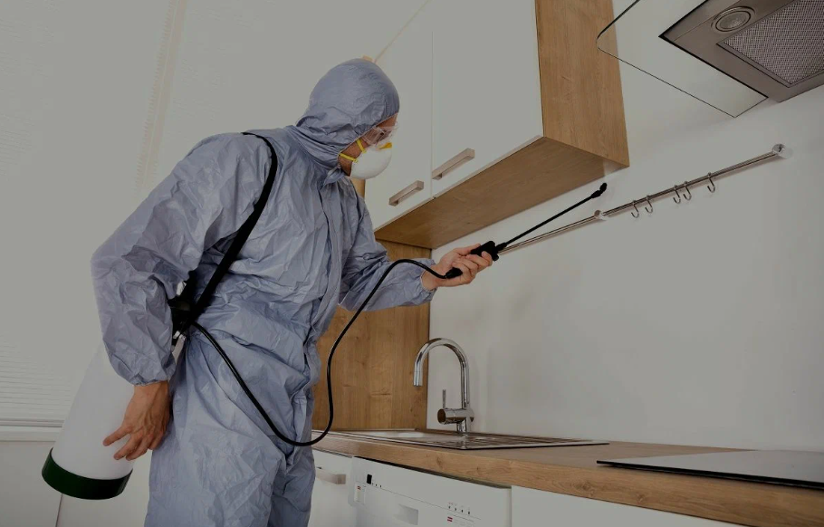 Desoto pest managment